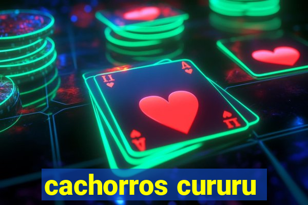 cachorros cururu